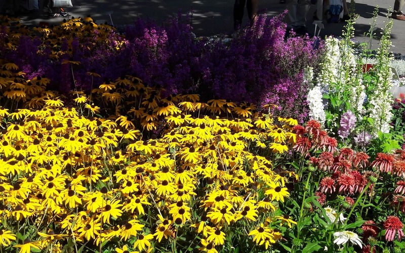 Rakúsko - Tulln - výstava kvetov